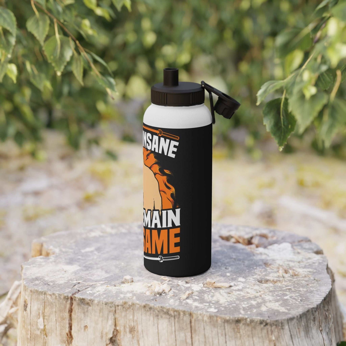 Gym Quotes Stainless Steel Water Bottle with Sports Lid