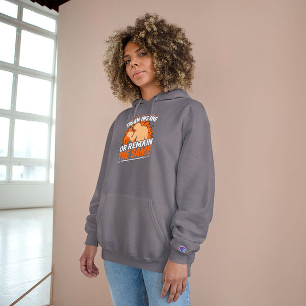 Hoodie — "Train Insane or Remain the Same" Motivational Gym Hoodie