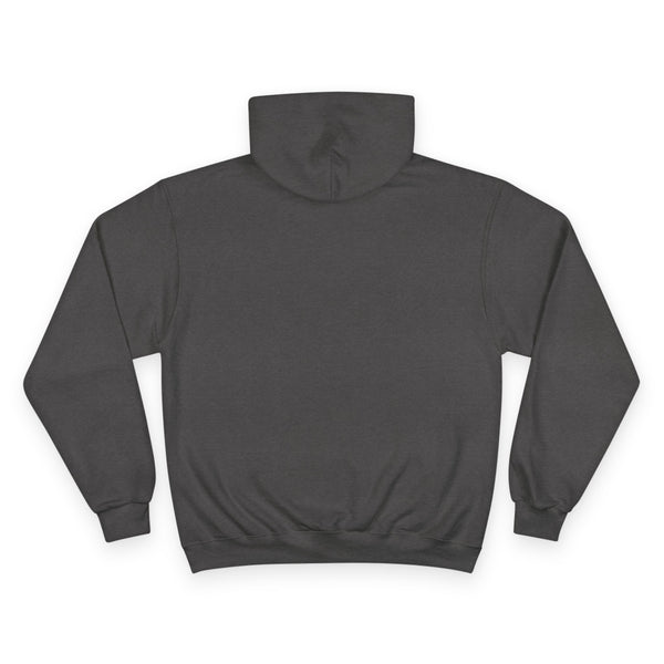 Hoodie — "Train Insane or Remain the Same" Motivational Gym Hoodie