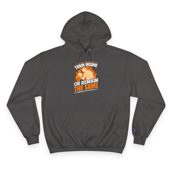 Hoodie — "Train Insane or Remain the Same" Motivational Gym Hoodie